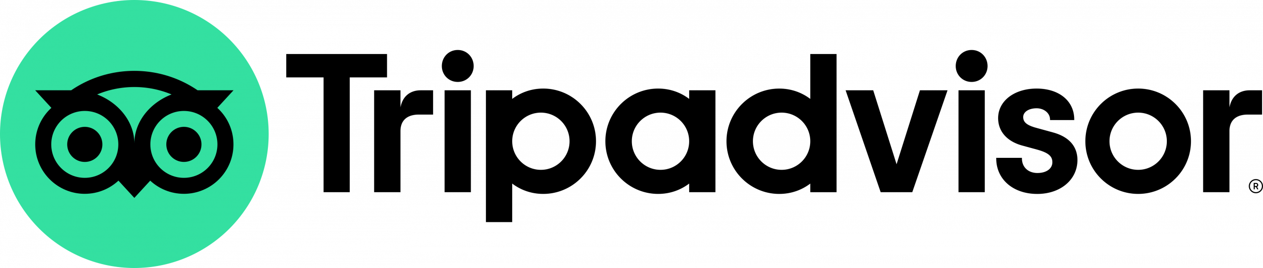 TripAdvisor logo