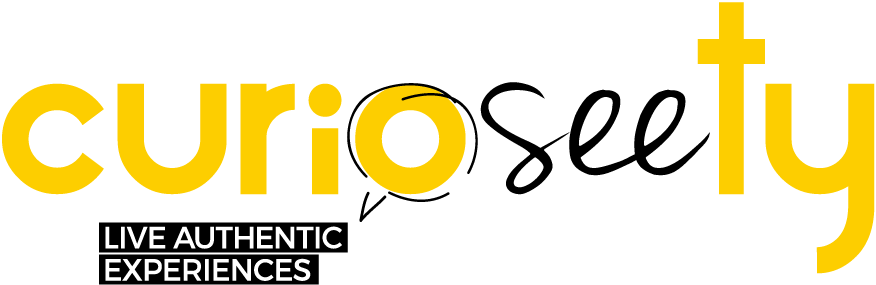 curioseety logo